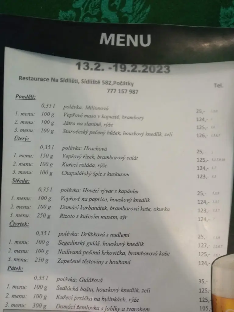 Zbyněk Adam_Restaurace Na Sídlišti_Počátky_review