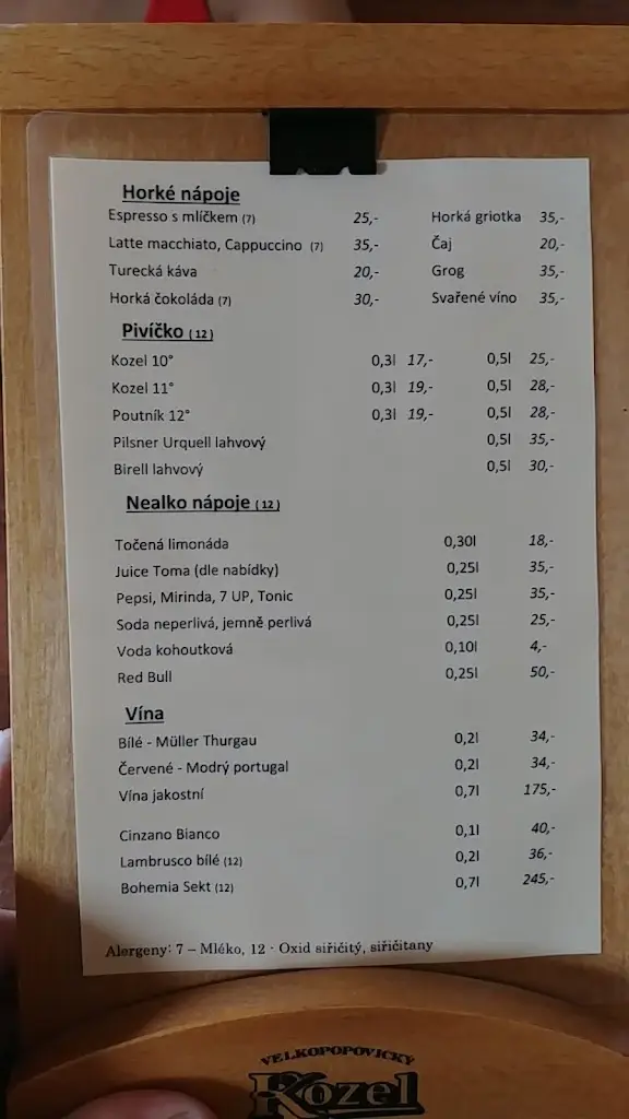 Menu_Restaurace a penzion Pod Věží_Pelhřimov_immagine_1