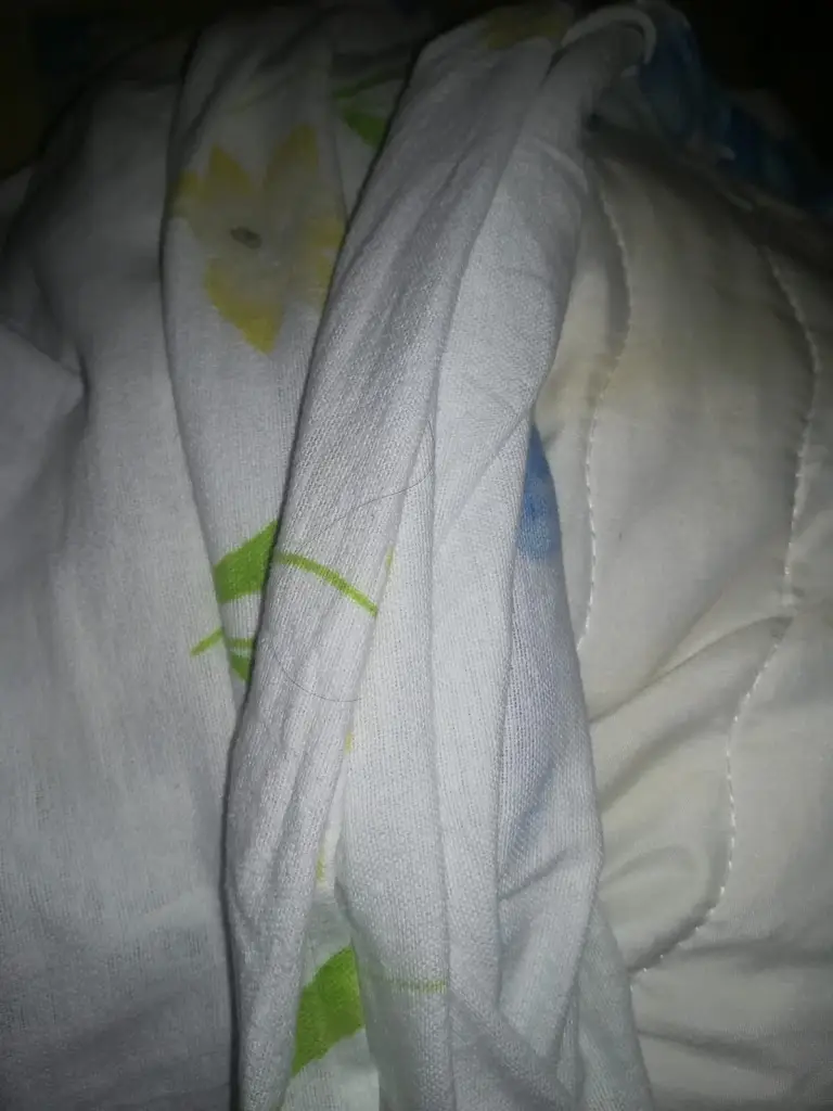 Madalina Lumaicu_Hospůdka Ve Dvorku_Český Krumlov_recensione