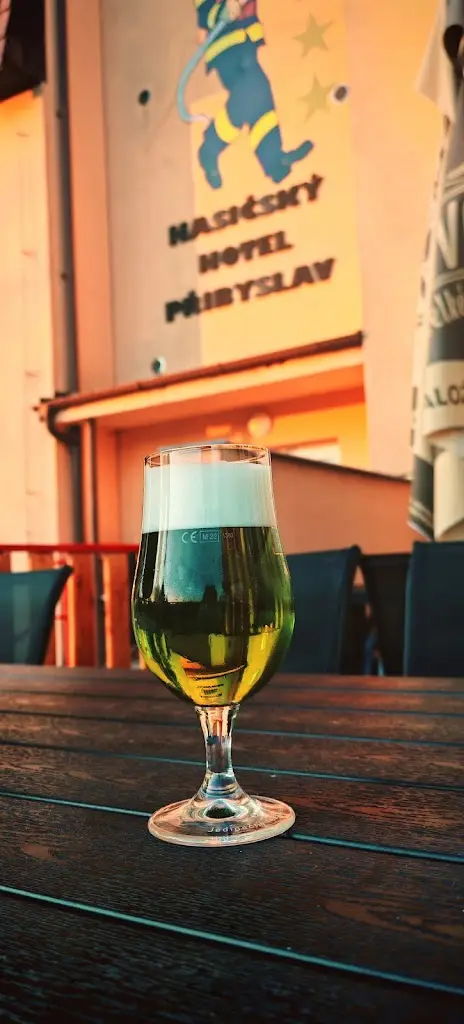 Bear Rescue_Restaurace Hasičský hotel_Přibyslav_review