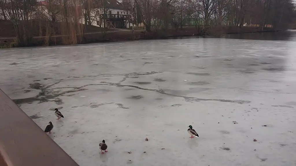 Švejk Restaurant Telč_Telč_slider_image_2