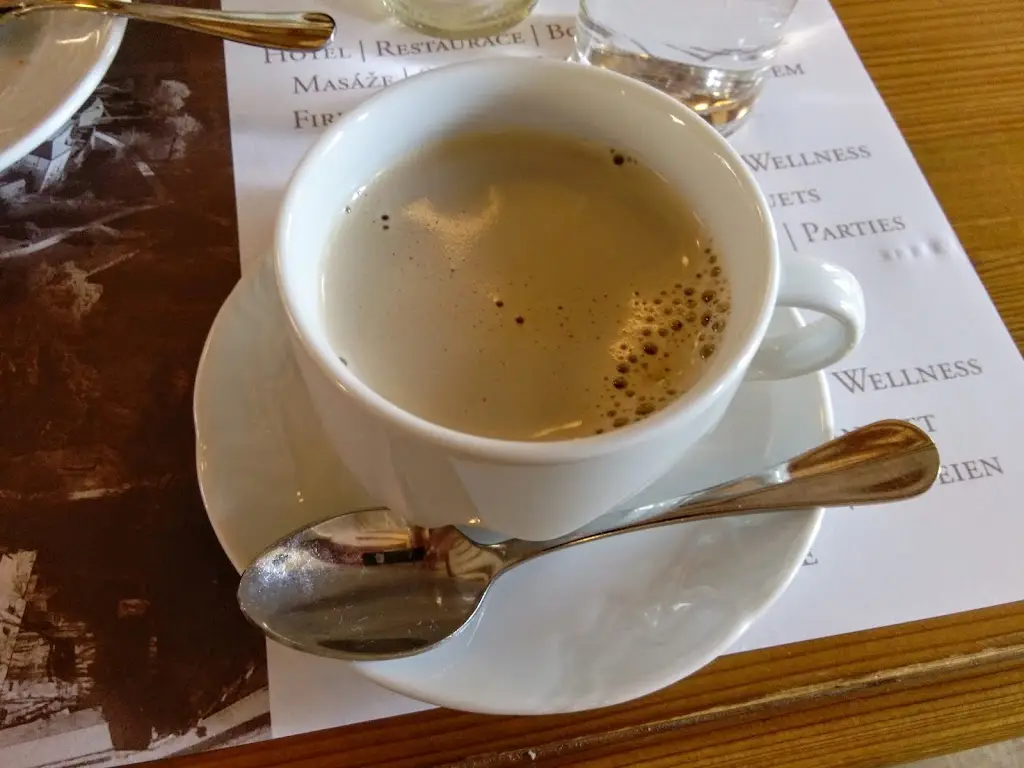 Lee Tourist_Restaurace U Hraběnky_Telč_review