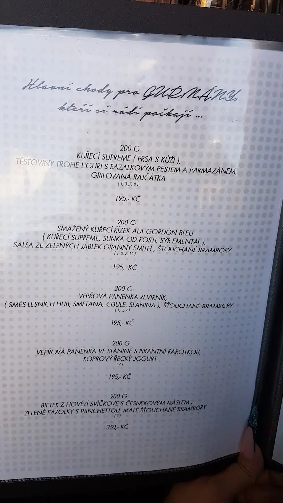 Menu_Restaurace Amadeus_Okres Třebíč_image_1