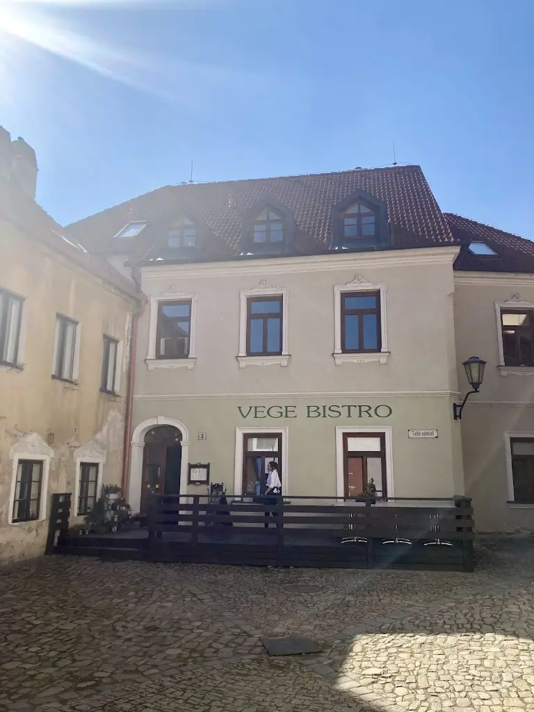 Lucky's Vege Bistro_Okres Třebíč_slider_image_3