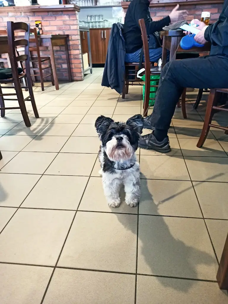 Pivnice Chata_Okres Třebíč_slider_image_2