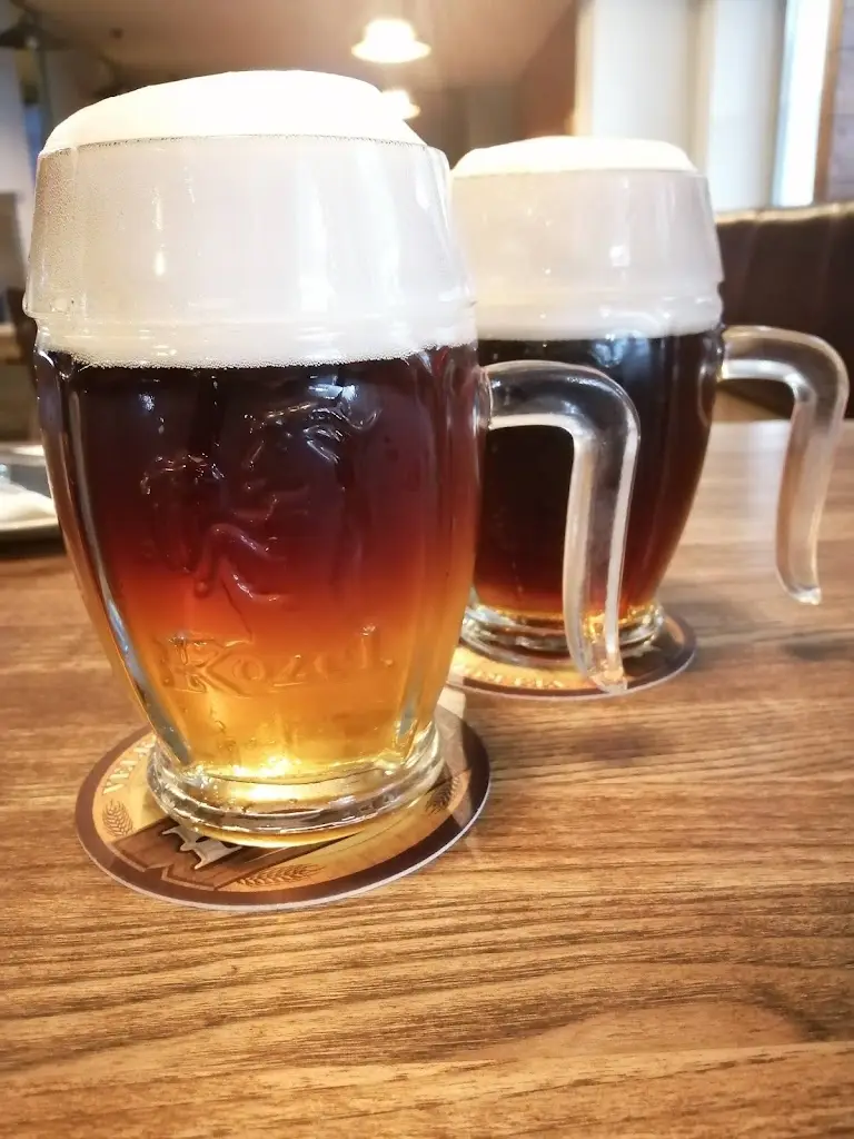 Menu_Kozlovna ALFA_Okres Třebíč_image_5