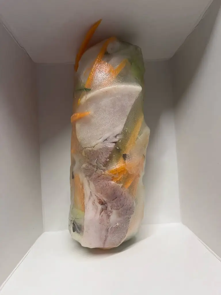 Jan Okřina_GAO VIÊT - Restaurace a sushi bar_Okres Třebíč_review