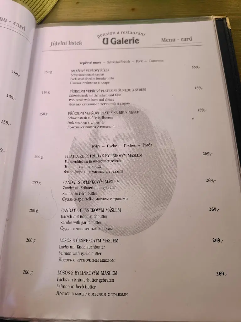 Menu_Pension U Galerie_Český Krumlov_immagine_4