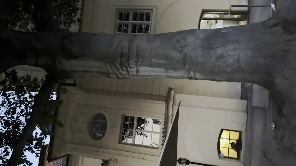 ahmed alghamdi_Klášterní restaurace_Želiv_review