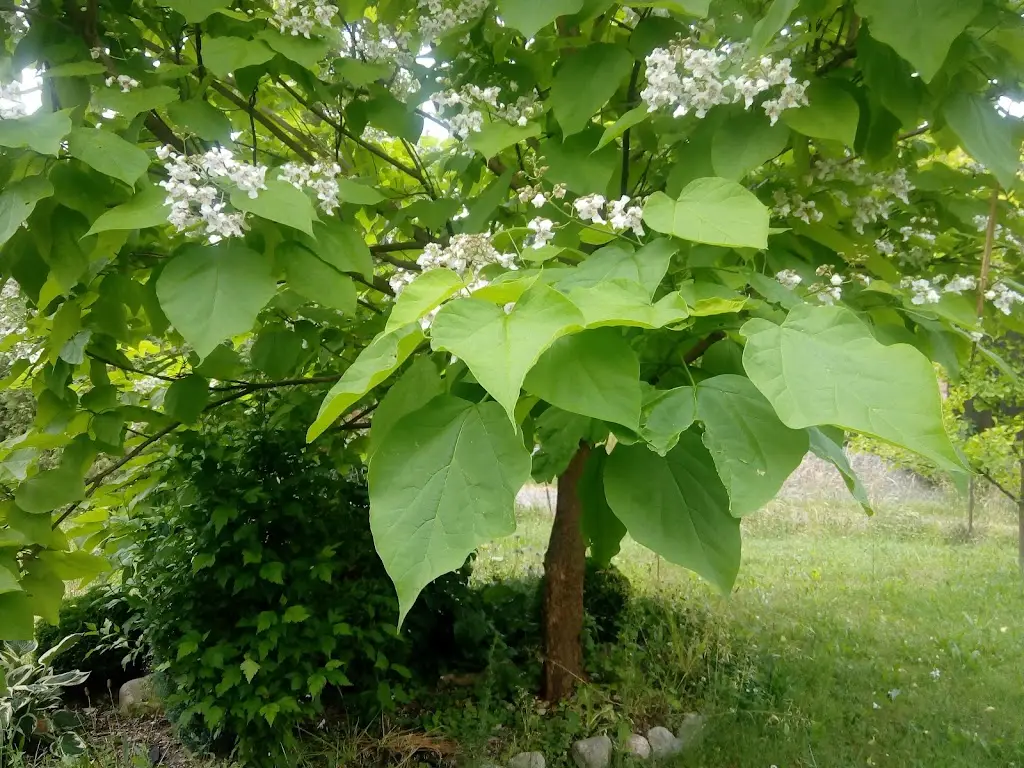 Restaurace U Kaiserů_Bílá Třemešná_slider_image_1