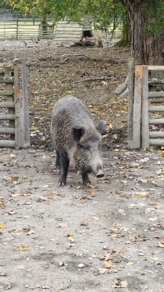 Josef Maňas_Zámecký altán Gloriet_Častolovice_review