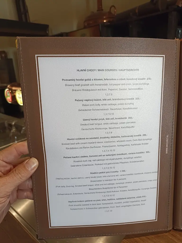Menu_Pivovarská Restaurace-Pivnice (Brewery Restaurant-Pub-Brauhaus)_Český Krumlov_image_2