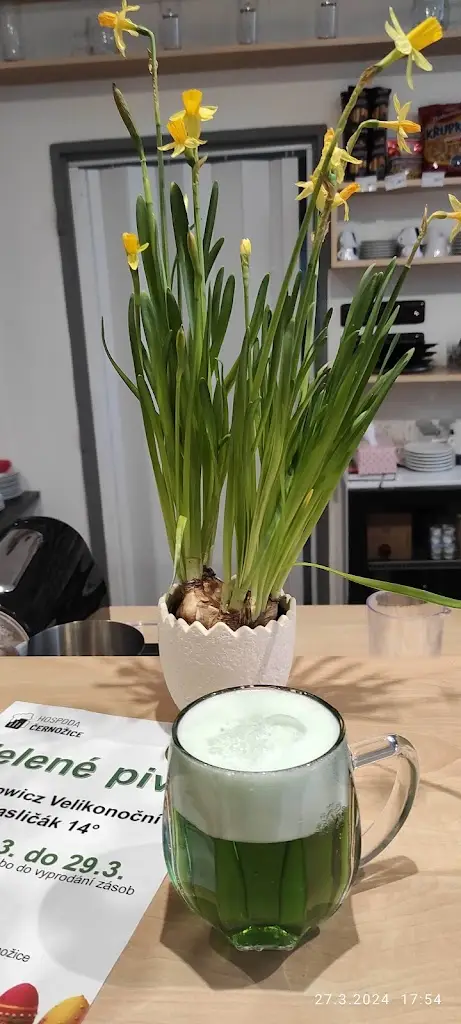 Vladan Haleš_Hospoda Černožice_Černožice_review