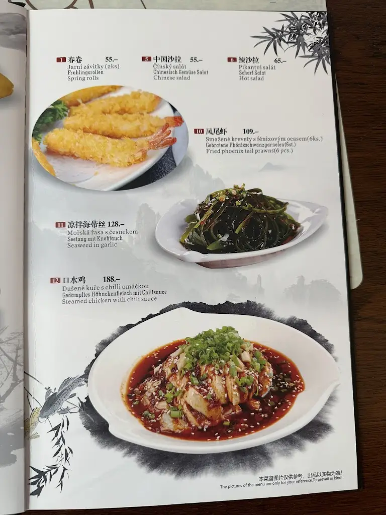 Menu_Beijing Restaurant Asia_Český Krumlov_image_3