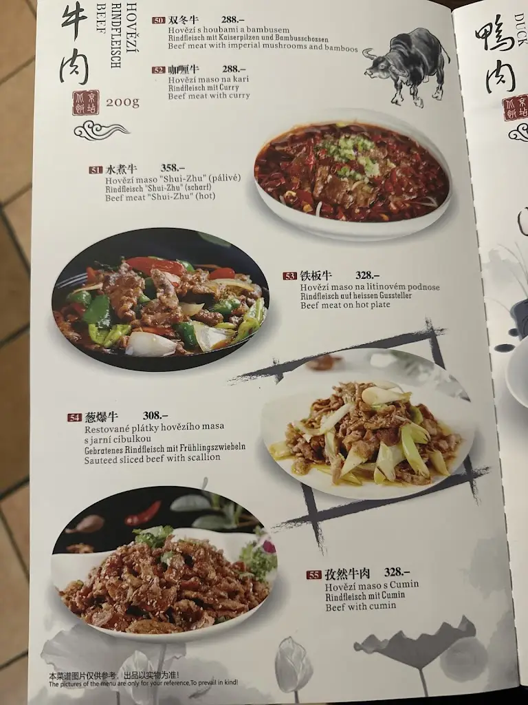 Menu_Beijing Restaurant Asia_Český Krumlov_image_4