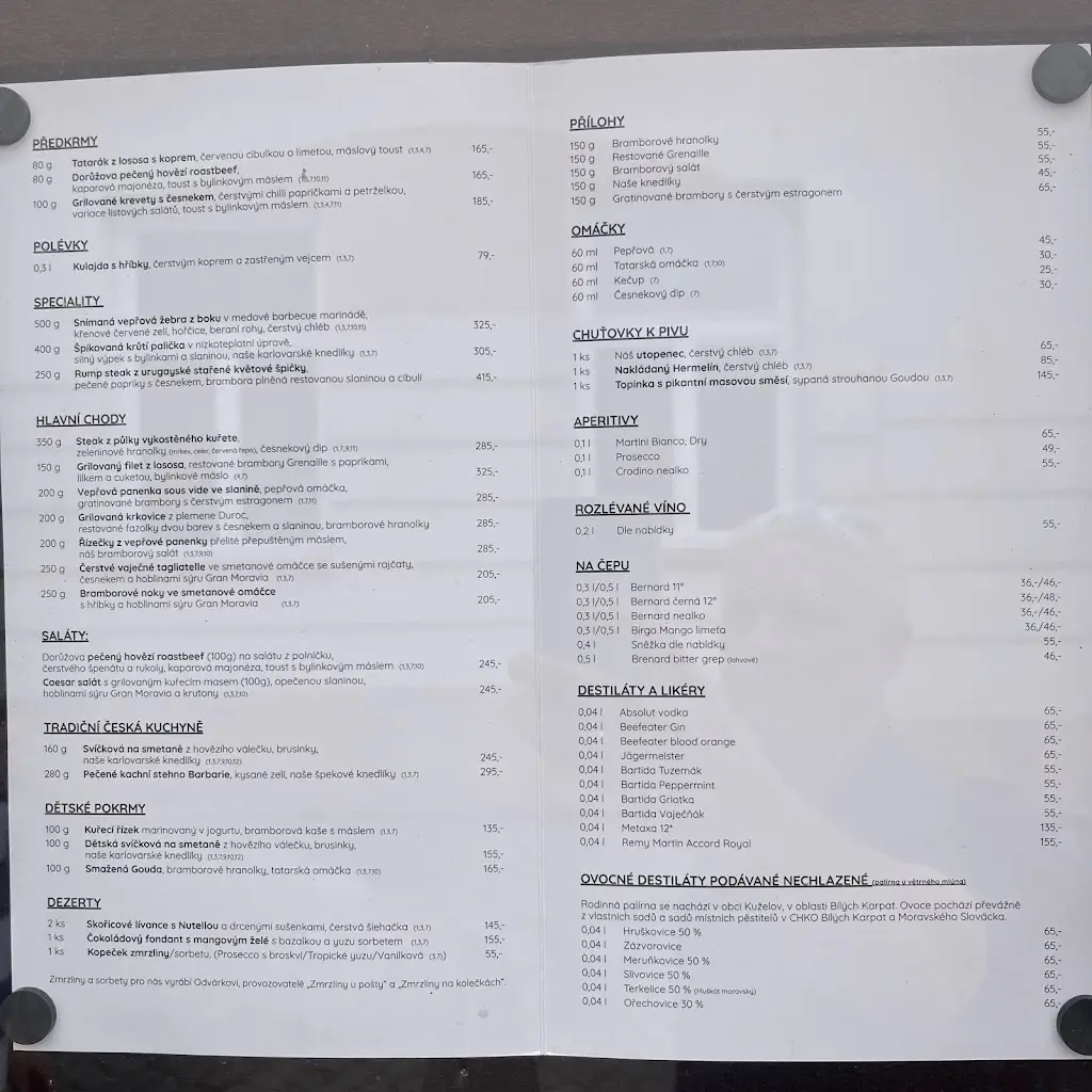 Menu_Restaurace Slunce_Černožice_immagine_1