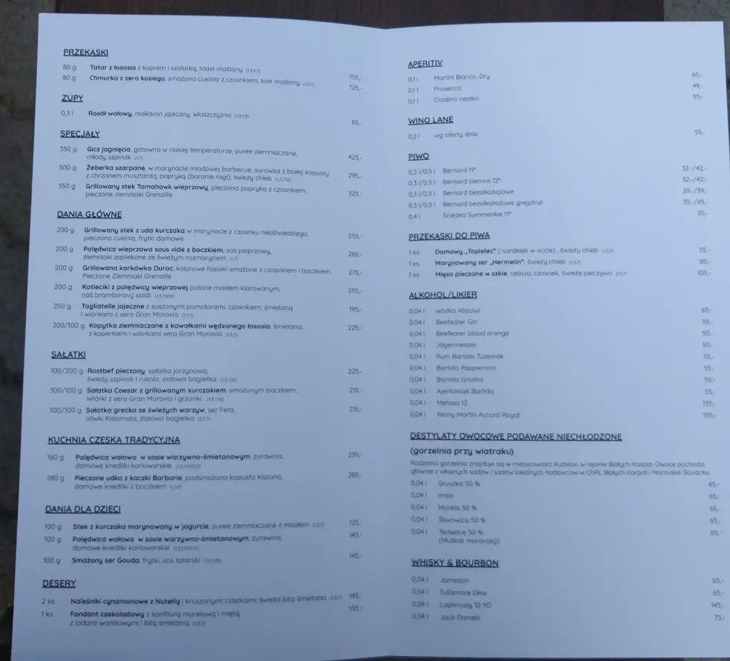 Menu_Restaurace Slunce_Černožice_immagine_3