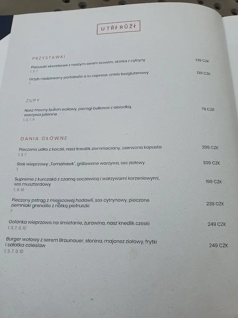Menu_U Tří růží Broumov_Broumov_image_4