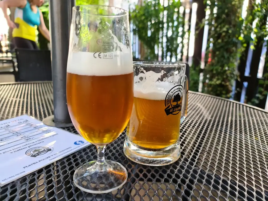 Rodinný Pivovar u Vacků_Chlumec nad Cidlinou_slider_image_2