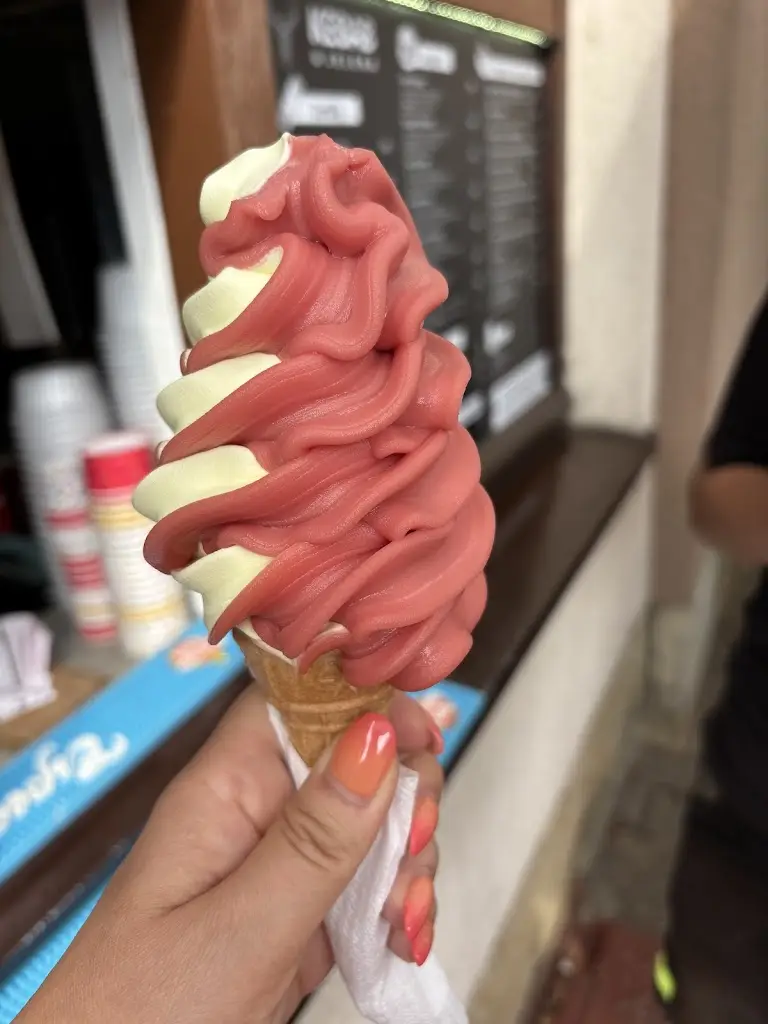 Tereza Gáliková_Kebab u Jelena_Chlumec nad Cidlinou_review