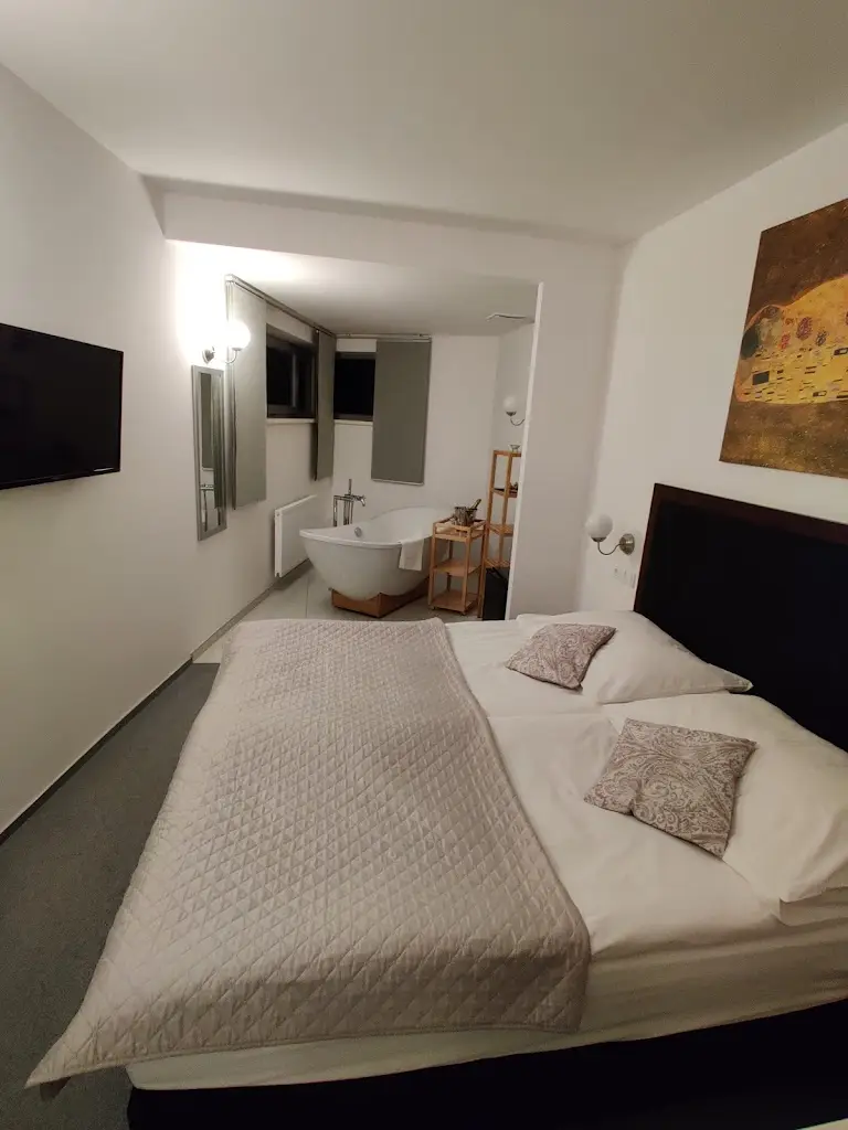 Rémi Martin_Hotel Koruna_Chlumec nad Cidlinou_review