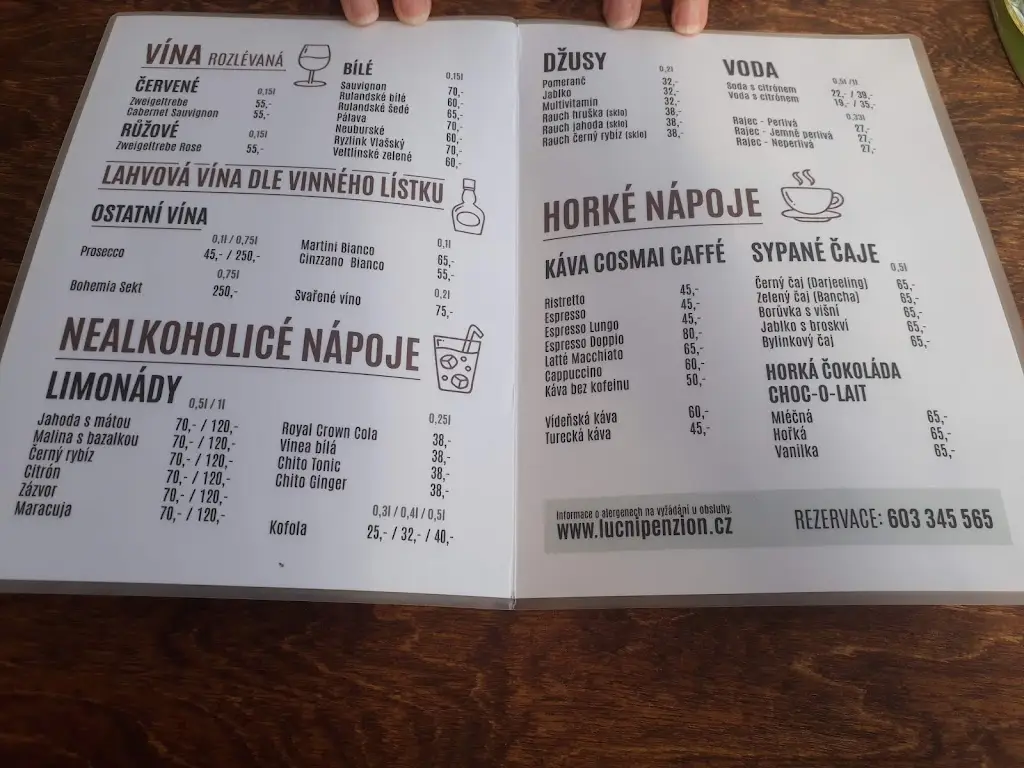 Menu_Restaurace Luční Penzion_Česká Skalice_immagine_2
