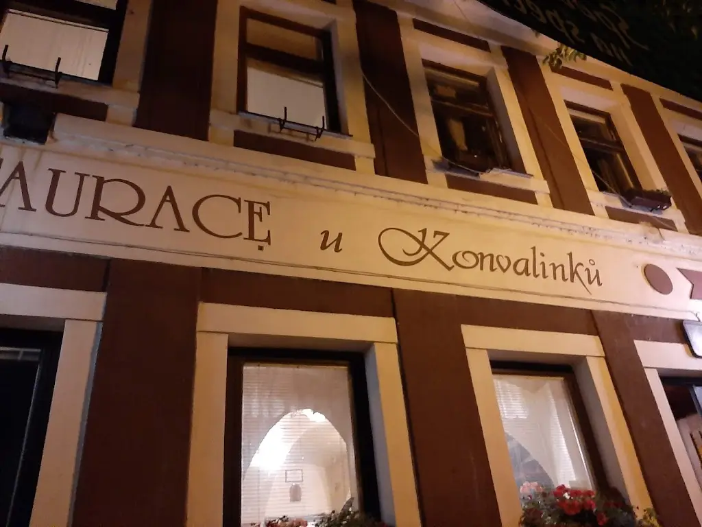 Cyd onie_Pub U Konvalinků_Česká Skalice_review