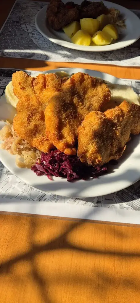 Nikola Středová_Restaurace U Pitašů - Domlátil Václav_Česká Skalice_review