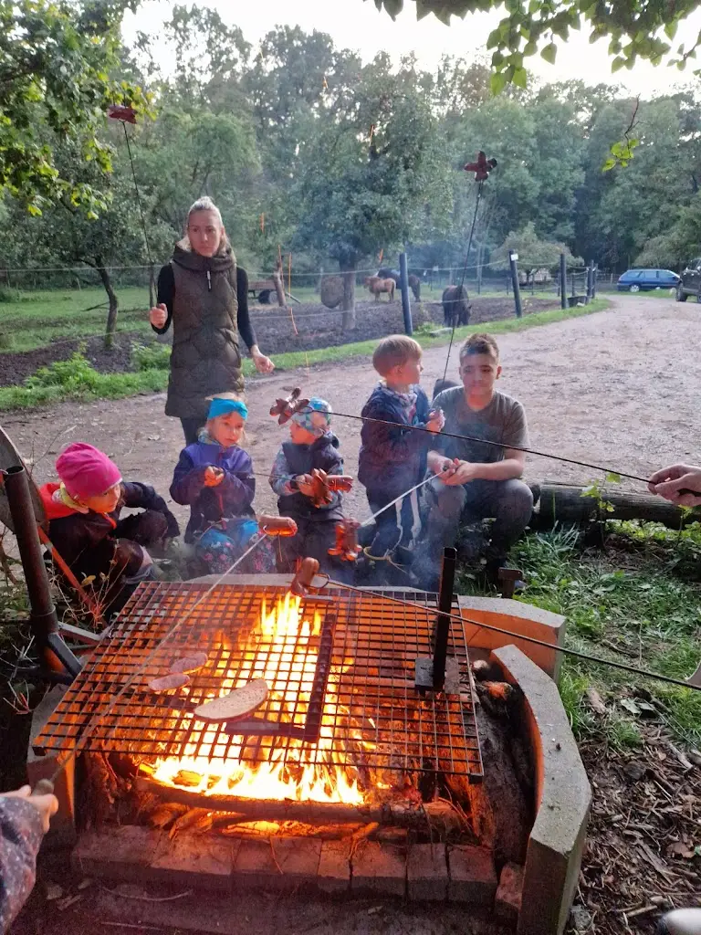 HANA SEGARS_Farma Dubno_Česká Skalice_recensione