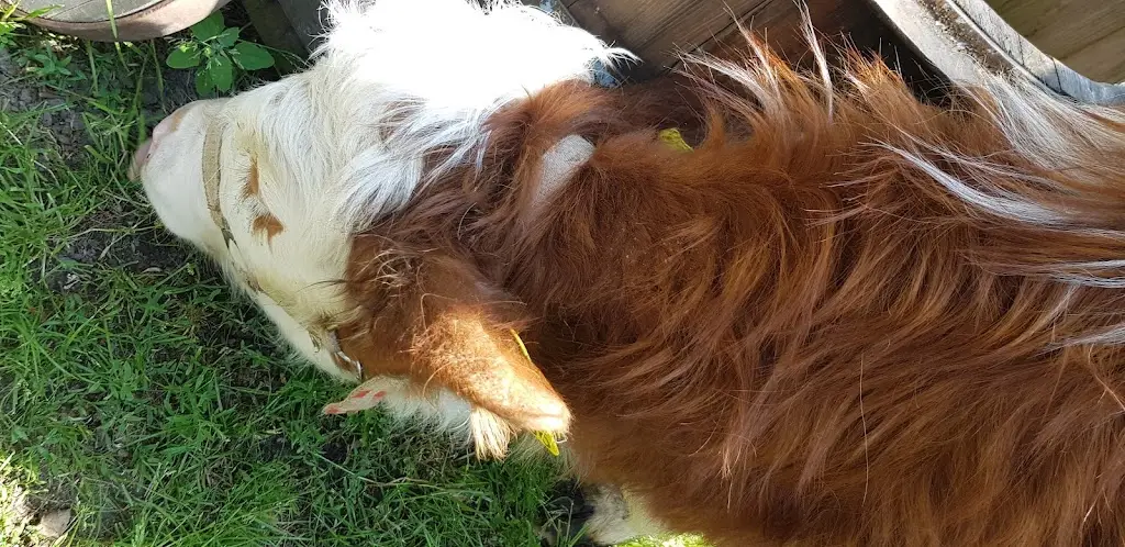 Petra Brabencová_Farma Dubno_Česká Skalice_recensione