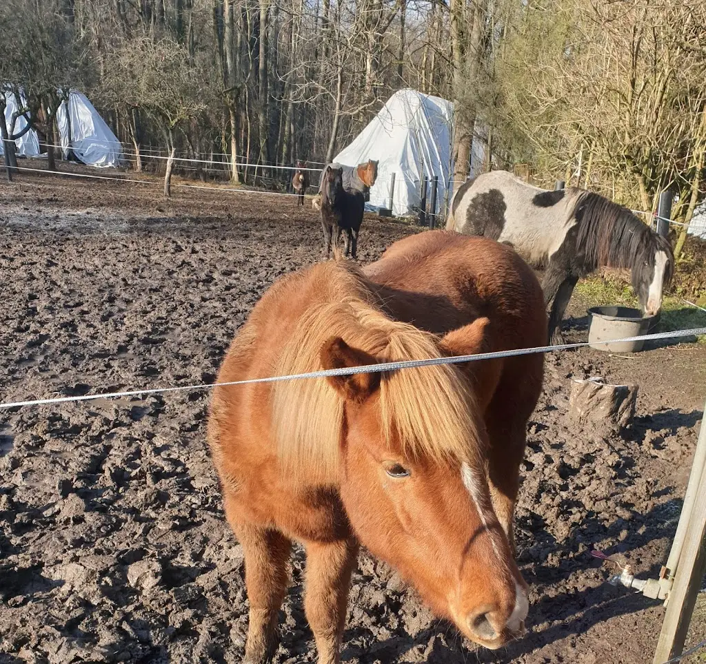 Petra S_Farma Dubno_Česká Skalice_recensione