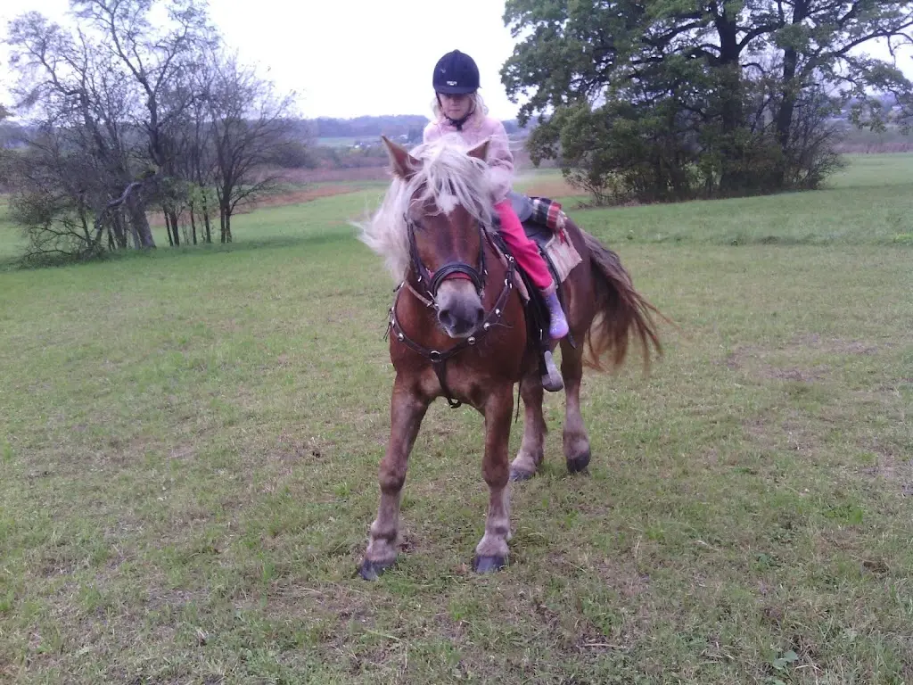 Farma Dubno_Česká Skalice_slider_image_3