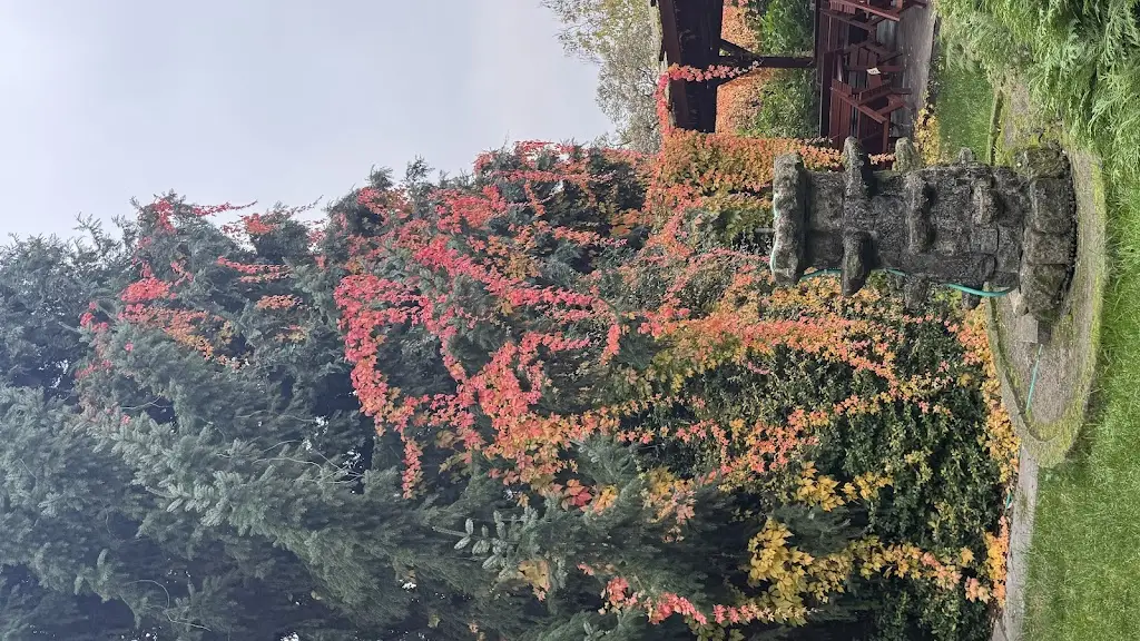 Restaurace Bohema_Hořice_slider_image_3