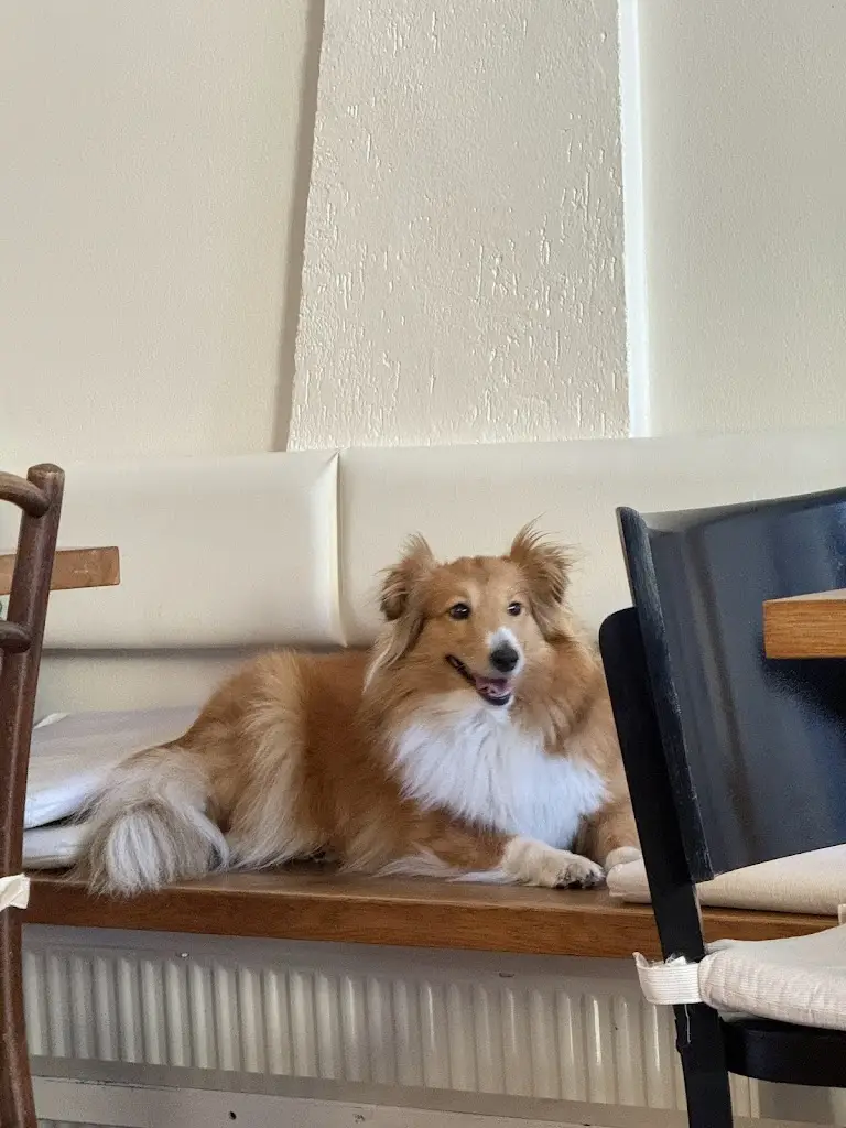 Anna Bryndová_Penzion 14_Hostinné_review