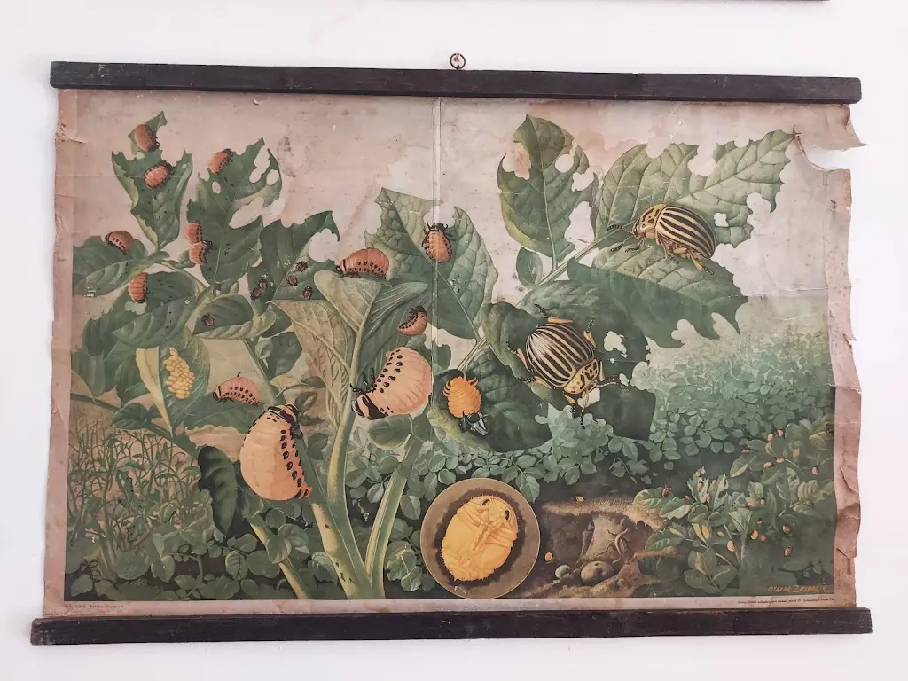 Mihails Basmanovs_Restaurace Na Radnici_Kopidlno_recensione