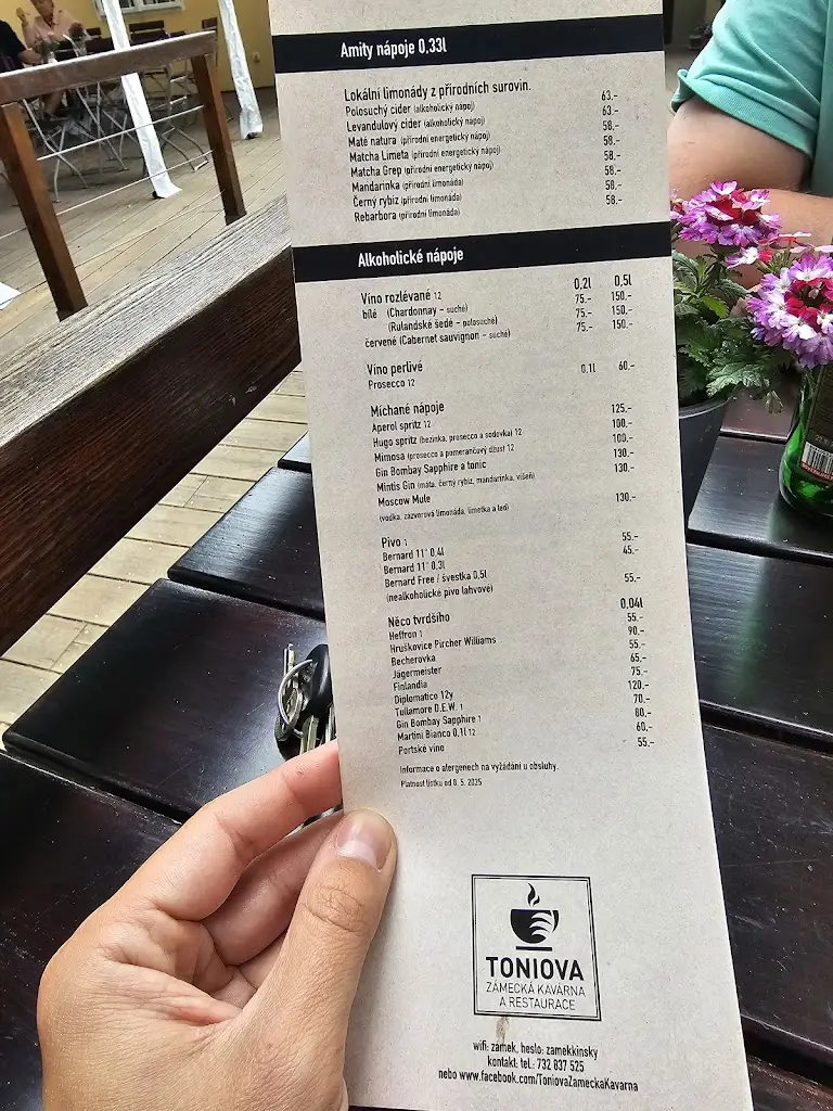 Menu_Toniova zámecká kavárna_Kostelec nad Orlicí_image_1