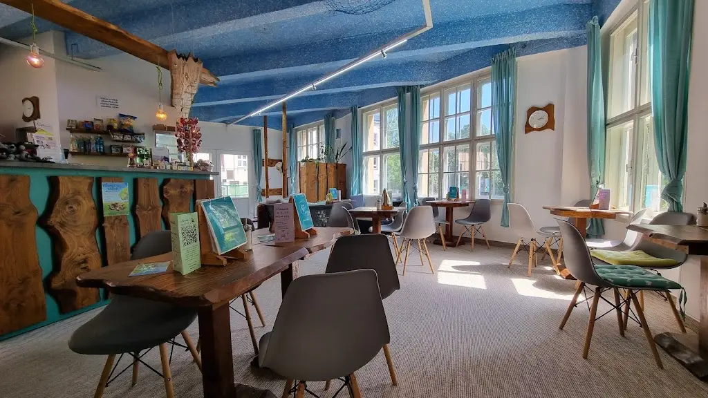 Jana Coker_Vlčí doupě s.r.o._Jaroměř_review