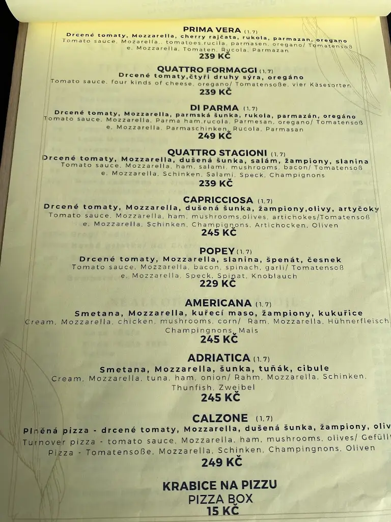 Menu_RESTAURACE SLUNEČNÁ LOUKA_Frymburk_image_4
