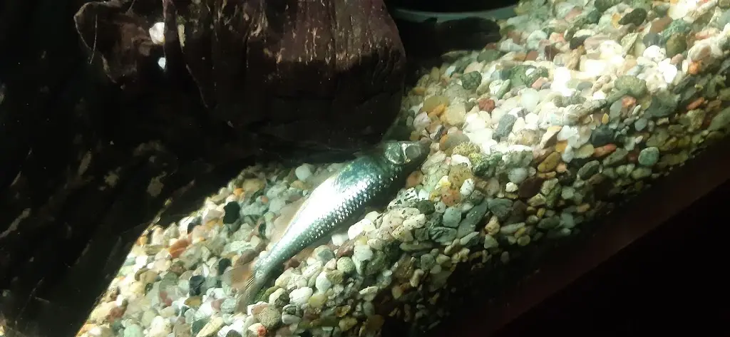 Matej Macha_Bowling Center Jaroměř_Jaroměř_review