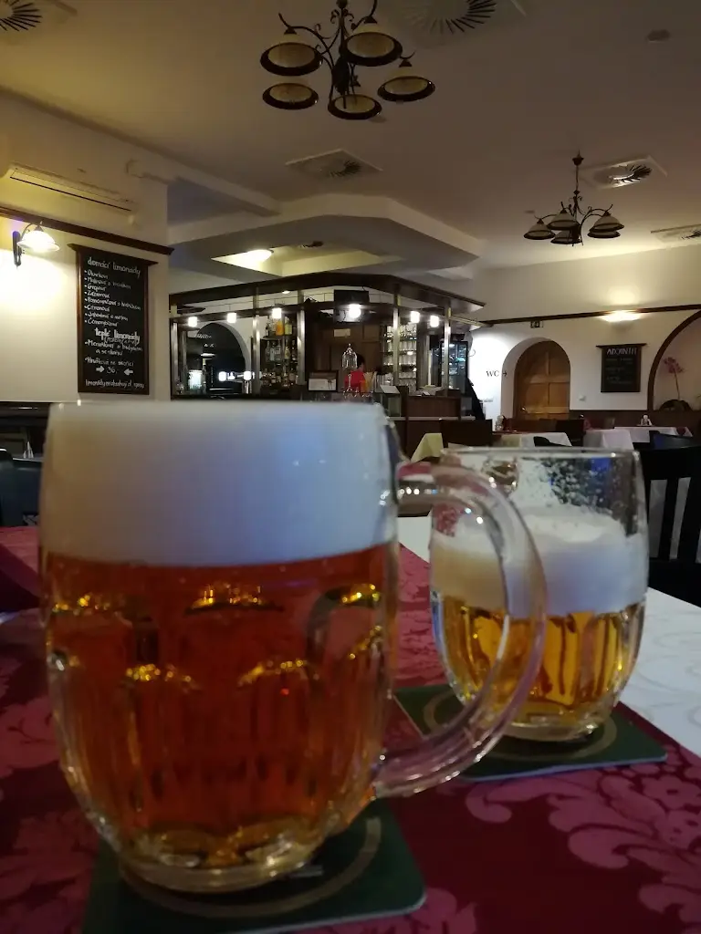 Vladimír Končal_Hotel Bohumilka_Lázně Bělohrad_review