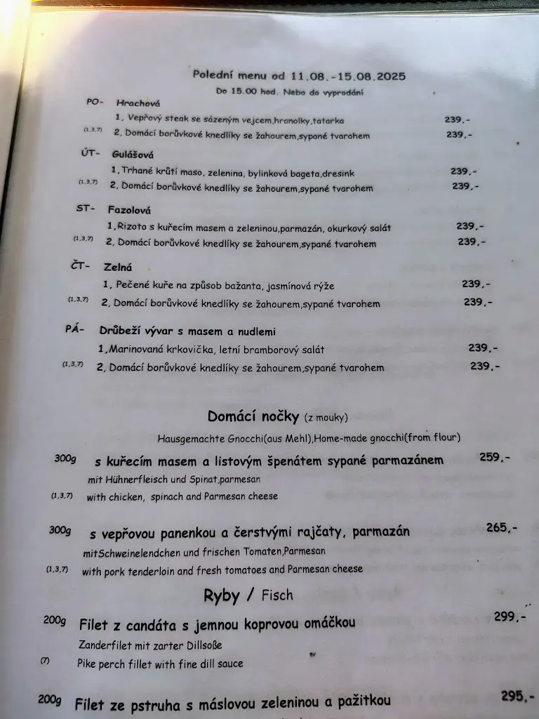 Menu_Restaurace Loděnice_Frymburk_immagine_2