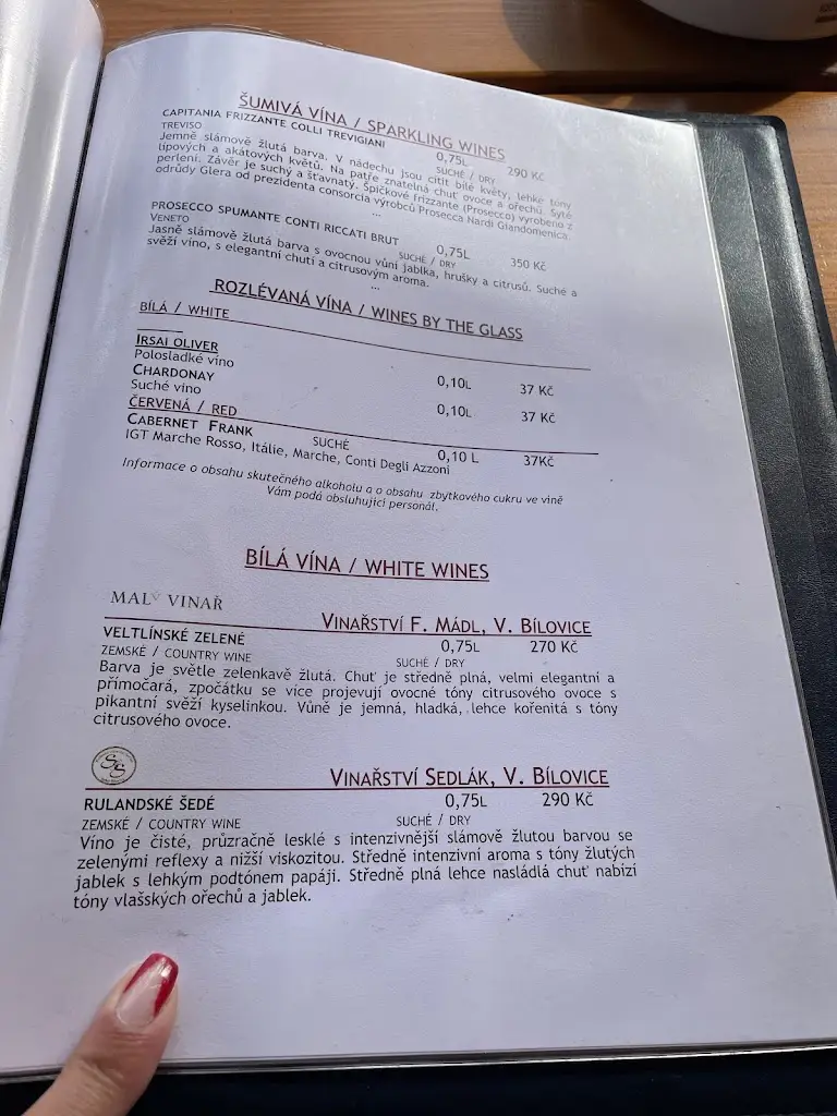 Menu_Restaurace Loděnice_Frymburk_immagine_4