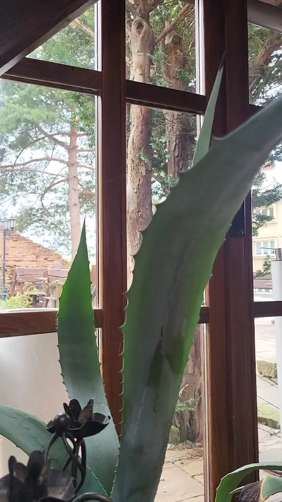 Mexická restaurace Jičín_Jičín_slider_image_2