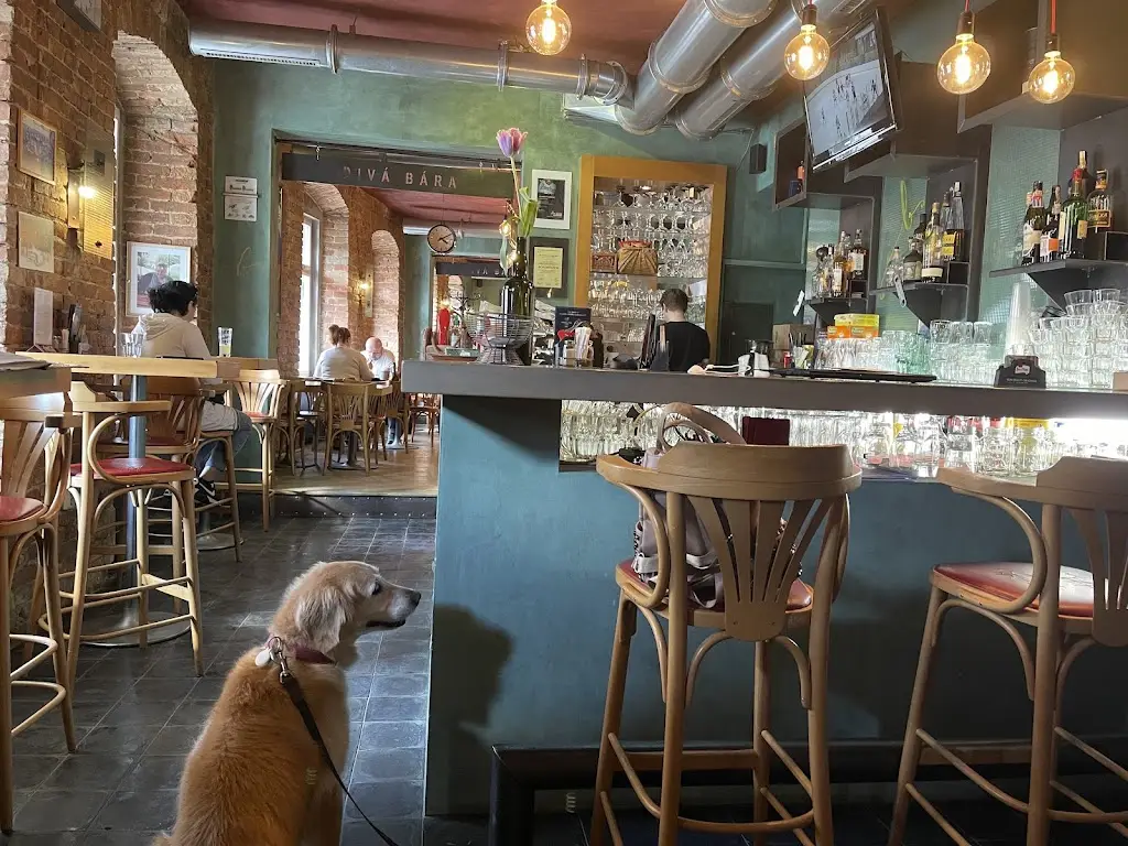 Dhoby The Golden_Restaurace Divá Bára_Jičín_review