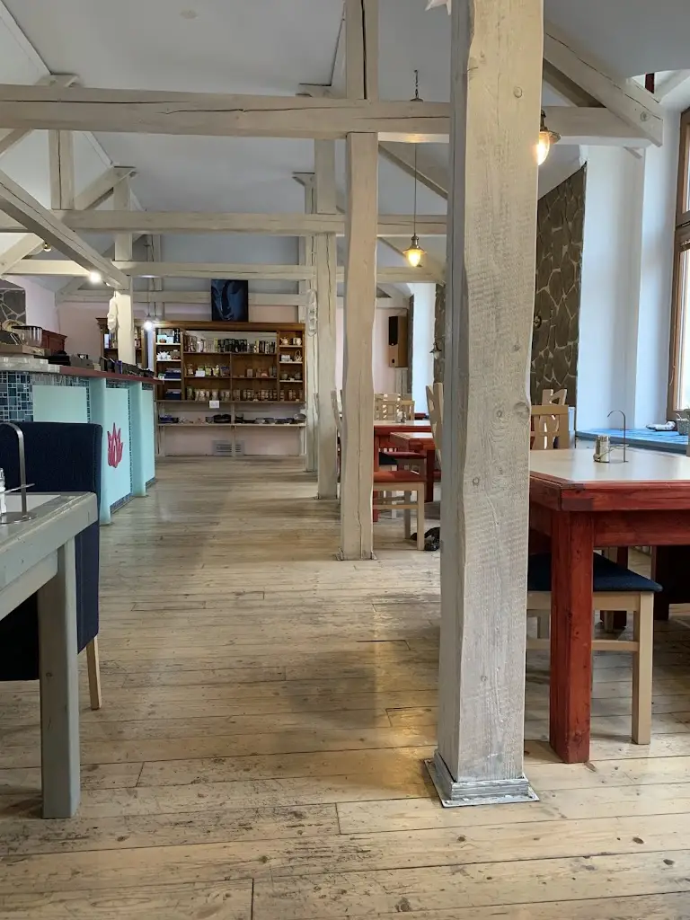 Schleich Blue_Vegeethouse_Jičín_review