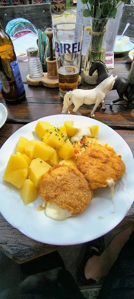 Radim Štencel_Restaurace u Ságnerů_Nechanice_review