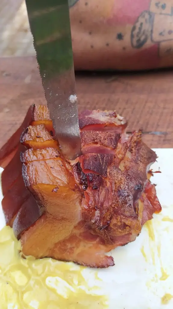 Šimon Skřídlovský_Bistro u Bílků_Frymburk_review