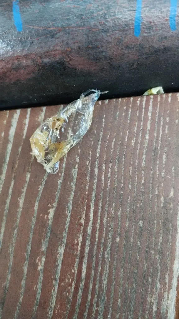 Michal Bittner_DAYI Kebab_Nové Město nad Metují_review