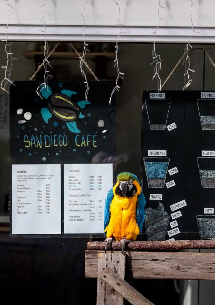 Menu_San Diego Café_Nová Paka_image_1