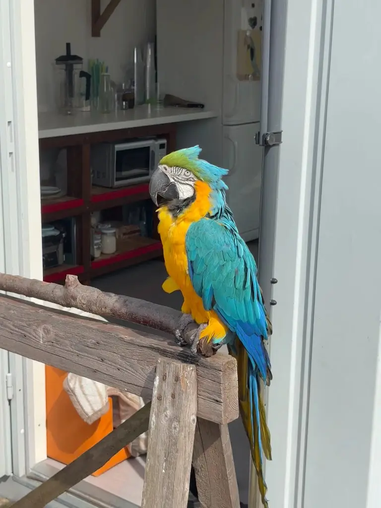 Jana Stáhlichová_San Diego Café_Nová Paka_review